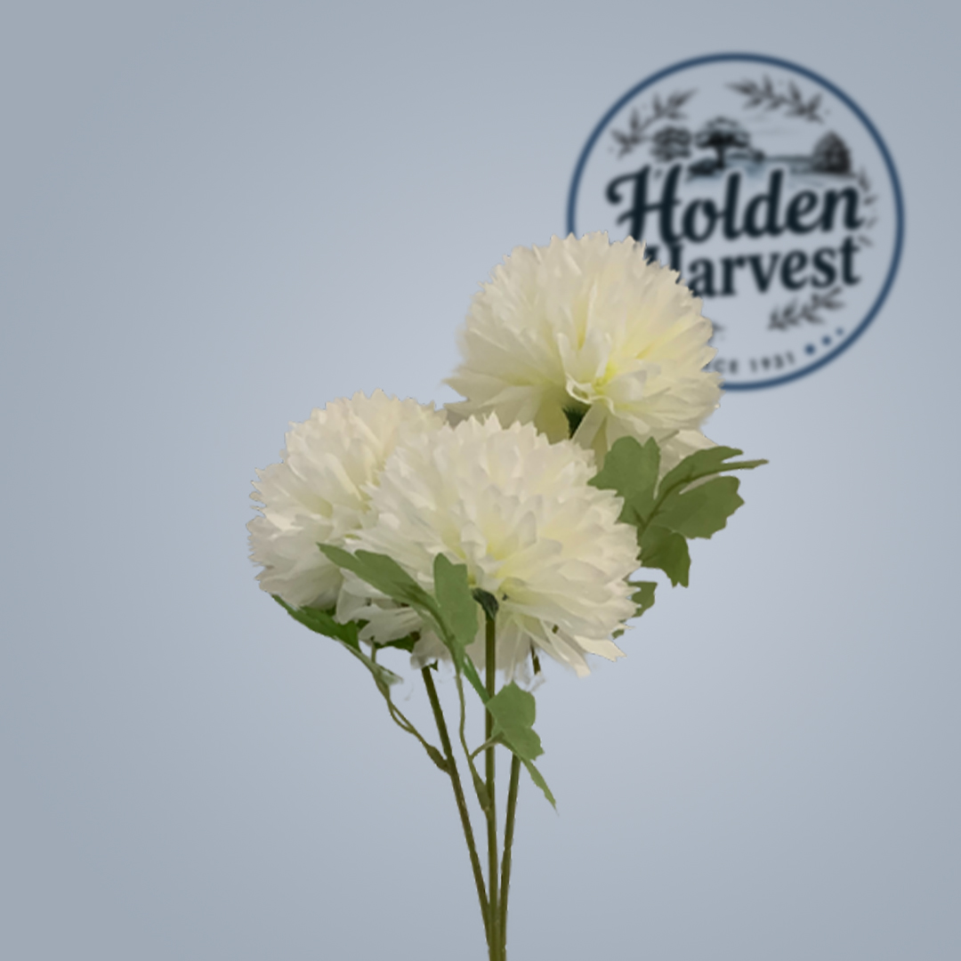 hydrangea-white